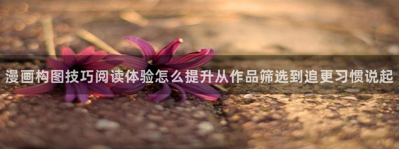 樱花日语N1词汇:漫画构图技巧阅读体验怎么提升从作品筛选到追更习惯说起