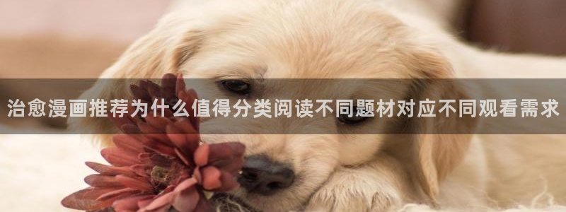 樱花日语考级:治愈漫画推荐为什么值得分类阅读不同题材对应不同观看需求