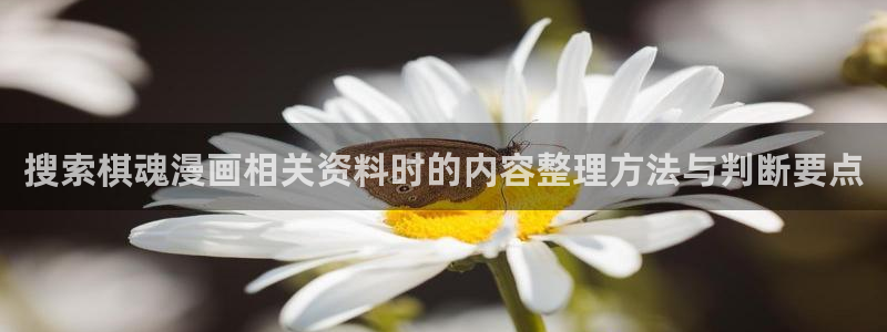 樱花日语入门班：搜索棋魂漫画相关资料时的内容整理方法与判断要点